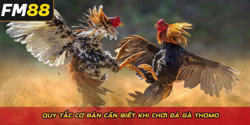 Quy tắc cơ bản cần biết khi chơi đá gà Thomo